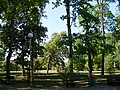 English: The Staromiejski Park Polski: Park Staromiejski w Policach
